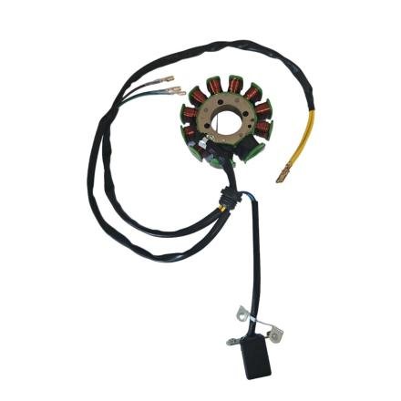 ALTERNADOR CG200 11 BOBIN CARGUERO